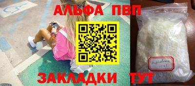 стафф Донской