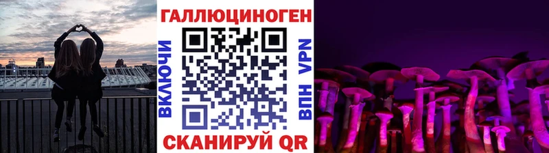 как найти   Калуга  Псилоцибиновые грибы Psilocybe 