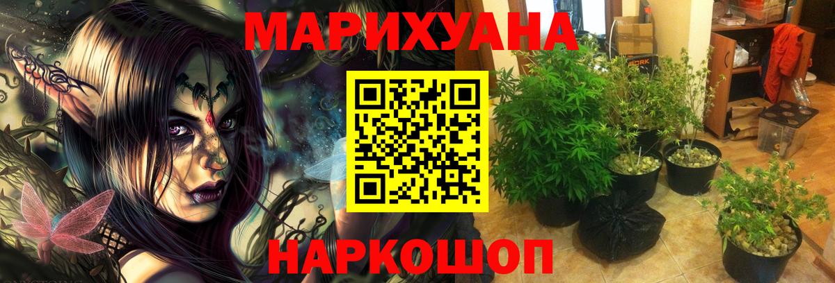 Бошки Шишки Amnesia  Бошки марихуана Ganja  Калуга  Бошки марихуана тримм  Каннабис Ganja  Вход с VPN 